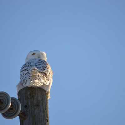 Profile Picture of Mark Naylor (@MarkNay77132566) on Twitter