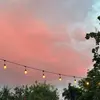 Profile Picture of Amy (@@amyzapata_) on Tiktok