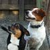 Profile Picture of Tuppence Hedderman (@tuppence.hedderman) on Facebook