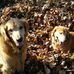 Profile Picture of Debra Scheller (Debbie Scheller) (@debra.scheller.9) on Facebook