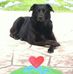 Profile Picture of Norma Campbell (@norma.campbell.942) on Facebook