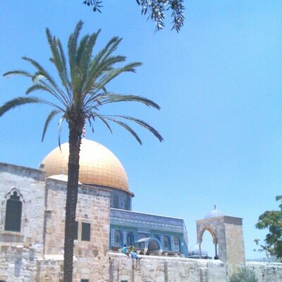 Profile Picture of Ahmad ElKhatib (@AhmadElKhatib2) on Twitter