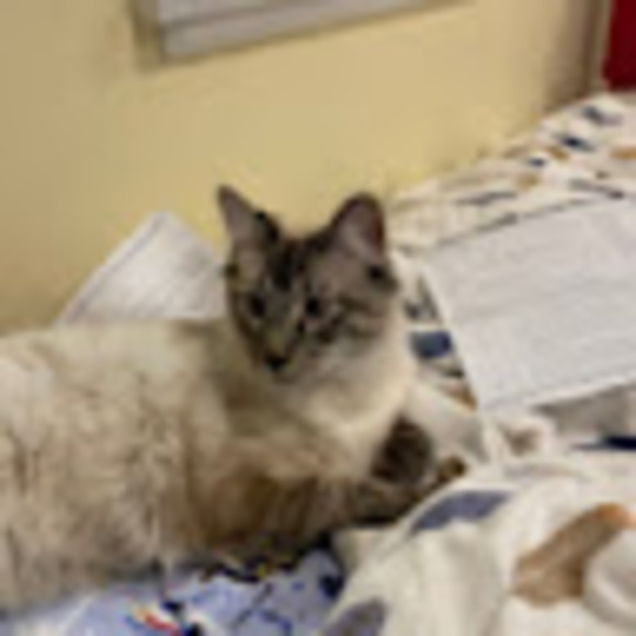 Profile Picture of Wookie 1 (@griffinwernicke) on Poshmark