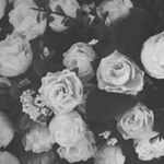 Profile Picture of Carol Hanna ♡ (@carol_hanna01) on Instagram