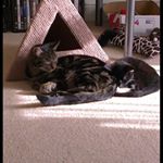 Profile Picture of Debbie Heath (@debbie.heath.9022) on Instagram