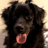 Profile Picture of Leo Taarea (@leo-taarea) on Quora
