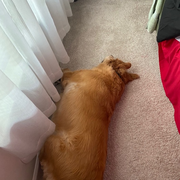 Profile Picture of Tonya Cassidy (@tonya_cassidy) on Poshmark