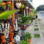 Profile Picture of Doreen Forest Garden🌷🌻🌼🌾 DFG (@doreen_mrs_mrema) on Instagram