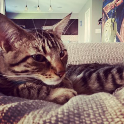 Profile Picture of Travis Ammons (@TravisAmmons3) on Twitter