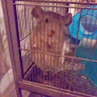 Profile Picture of Brian Panebianco (@brian-panebianco-3) on Quora