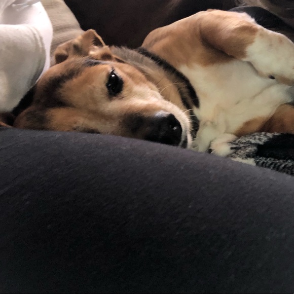 Profile Picture of Lydia Yerkey (@lydiayerkey07) on Poshmark