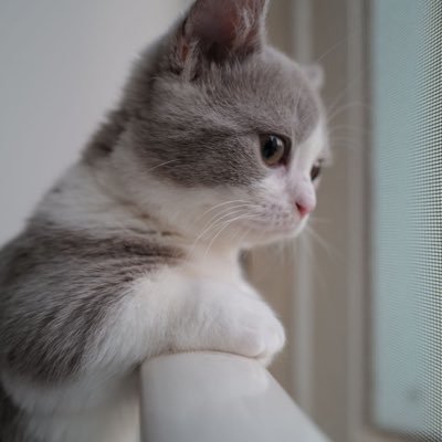 Profile Picture of Samuel Jiang (@JDJIANG) on Twitter