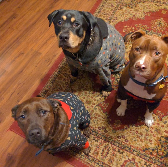 Profile Picture of Alisha Kennerley (@kennerla1) on Poshmark