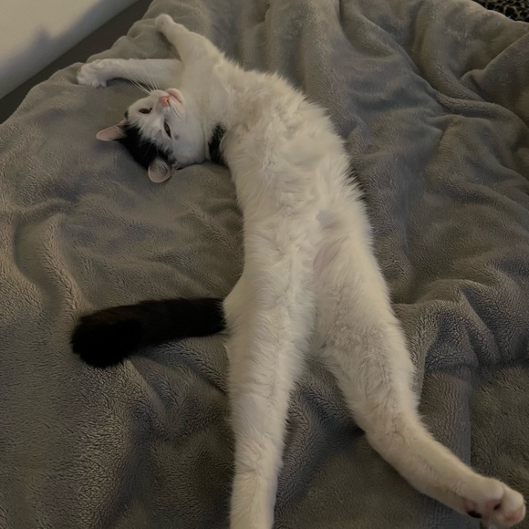 Profile Picture of Molly Hehir (@mollyyhehir) on Poshmark