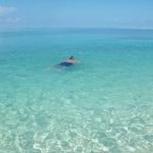 Profile Picture of Lance Fritz (@lance.fritz.5) on Myspace