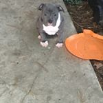 Profile Picture of Savage_eric (@eric_leggette2018) on Instagram