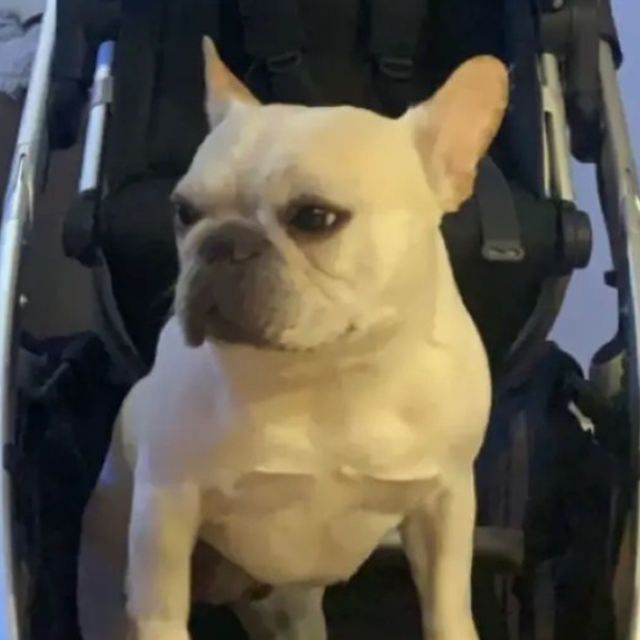 Bailey Wilder - Poshmark Profile Picture of Bailey Wilder (@bahwild) on Poshmark