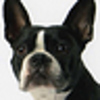 Profile Picture of Tom and Michael (@Tom and Michael) on Flickr
