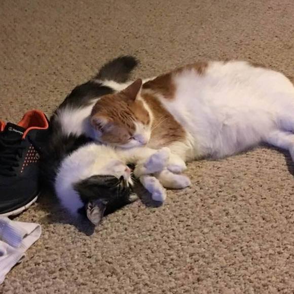 Profile Picture of Cindy Quinton (@oneclq59) on Poshmark