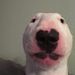 Profile Picture of David Janowski (@ghostofenergy) on Pinterest