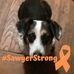 Profile Picture of Jerri Stewart (@jerri.stewart.121) on Facebook