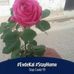 Profile Picture of Evşan (@evsan.evsan.16) on Facebook