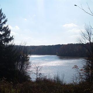 Profile Picture of Janice Renner (@Janice-Renner) on Facebook