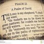 Profile Picture of Noel Chris (@king_chrisnoel) on Instagram