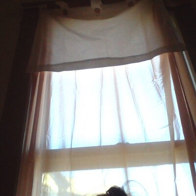 Profile Picture of David Mital (@DavidMital) on Twitter