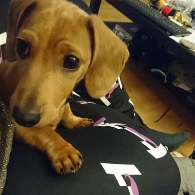 Profile Picture of Fay Wallace (@fay92mitchell) on Twitter
