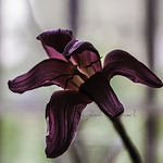 Profile Picture of Ghada Kamil (@ghada.a.) on Flickr