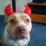 Profile Picture of Marcus Box (@marcus.box3) on Facebook