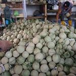 Profile Picture of Adam Fertigasi Batubalai (@adambatubalai) on Instagram