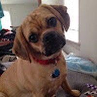 Profile Picture of Jeremy Abreu (@jeremy-abreu-13) on Quora