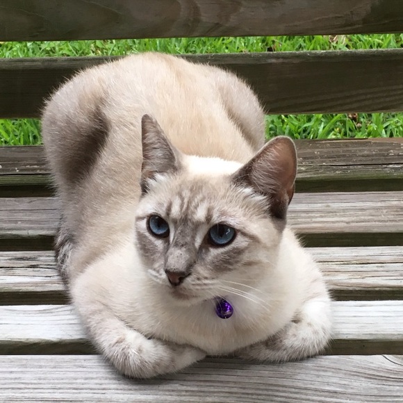 Profile Picture of Rylee Parraz (@rylee_9) on Poshmark