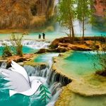 Profile Picture of Suzanne Bailey (@suzannebailey65) on Instagram