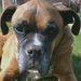 Profile Picture of Barry Cahill (@fly8329) on Pinterest