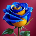 Profile Picture of Jaanu Paraste (@Jaanu-Paraste) on Facebook