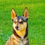 Profile Picture of Peyton Palmer (@peyton_palmer_) on Instagram