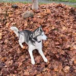 Profile Picture of Jesse Baker (@jesse.baker.581551) on Facebook