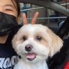 Profile Picture of Sam Rivera (@@samfrivera) on Tiktok