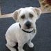 Profile Picture of Nancy McKinnon (@nancy.mckinnon.716) on Facebook