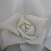 Profile Picture of Lori Daniel (@loridaniel7425) on Youtube