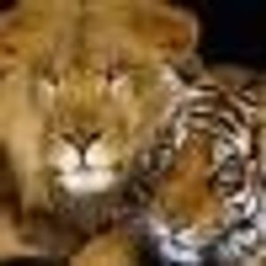 Profile Picture of Paul Becker (@370905923) on Myspace