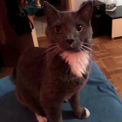 Profile Picture of Brigitte Lugauer (@BrigitteLugauer) on Twitter