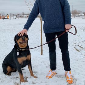 Zane St.Martin - Pinterest Profile Picture of Zane St.Martin (@zanehockey19) on Pinterest