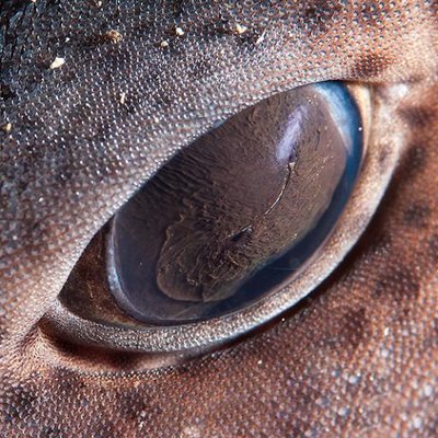 Profile Picture of Joey Holder (@joeyeholder) on Twitter