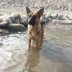 Profile Picture of Evelyn Ruth Borda Palomino (@evelynruthborda) on Instagram