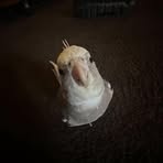 Profile Picture of Andrew Montes (@andrew.montes.490564) on Facebook