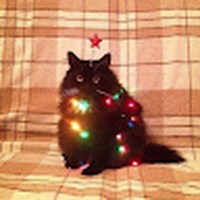 Profile Picture of Paula Naranjo (@paula-naranjo-16) on Quora